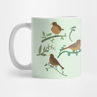 Clay-colored thrush or yigüirro Mug